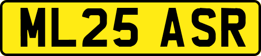 ML25ASR