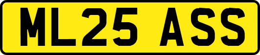 ML25ASS