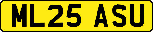 ML25ASU