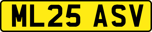 ML25ASV