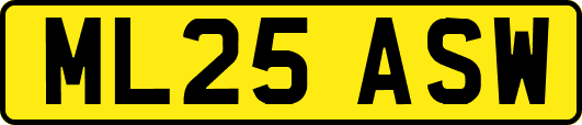 ML25ASW