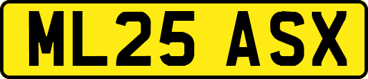 ML25ASX