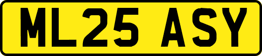 ML25ASY