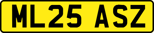 ML25ASZ