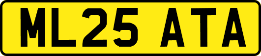 ML25ATA