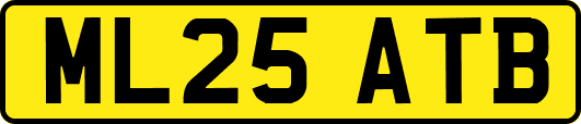 ML25ATB