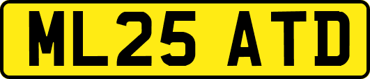 ML25ATD