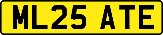 ML25ATE