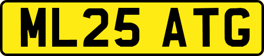 ML25ATG