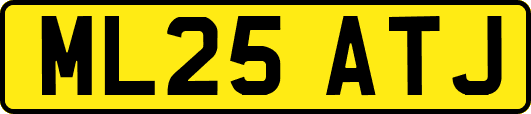 ML25ATJ