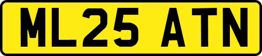 ML25ATN