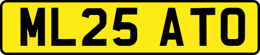 ML25ATO