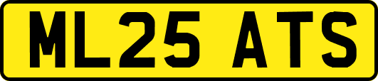 ML25ATS