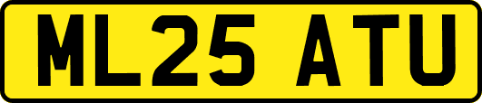 ML25ATU