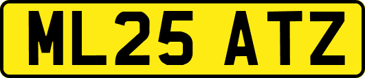 ML25ATZ