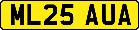 ML25AUA