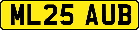 ML25AUB