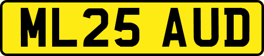 ML25AUD