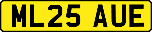 ML25AUE