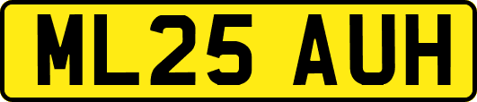 ML25AUH