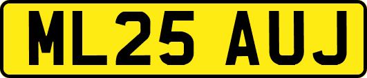 ML25AUJ