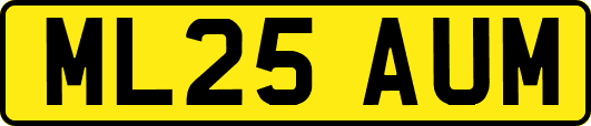 ML25AUM