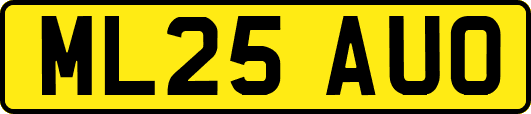 ML25AUO