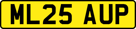 ML25AUP