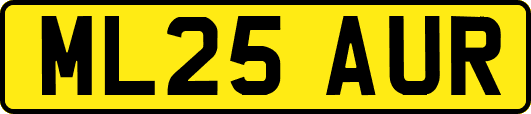 ML25AUR