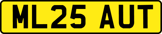 ML25AUT