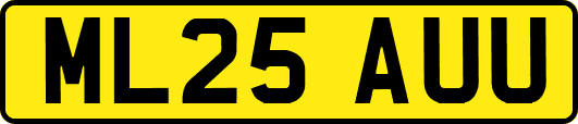ML25AUU