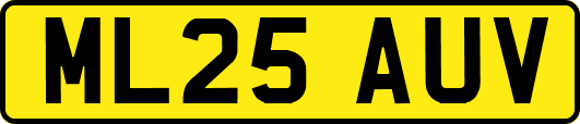ML25AUV