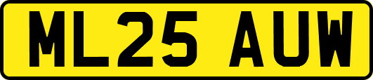 ML25AUW