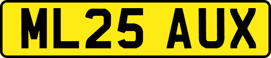 ML25AUX