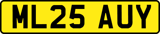 ML25AUY
