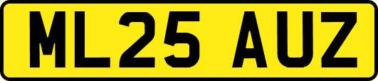 ML25AUZ