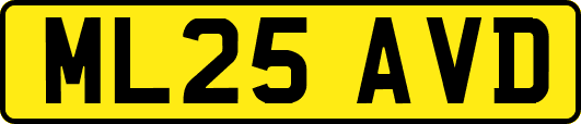 ML25AVD