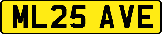 ML25AVE