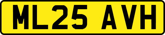 ML25AVH