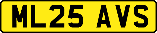 ML25AVS