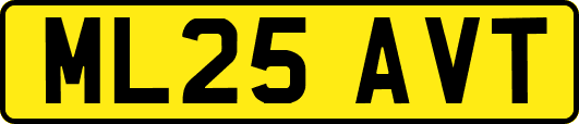 ML25AVT