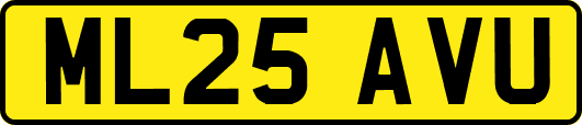 ML25AVU
