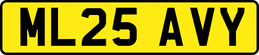 ML25AVY