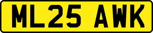 ML25AWK