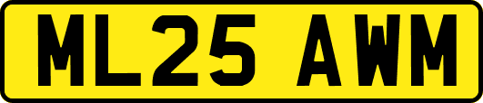 ML25AWM