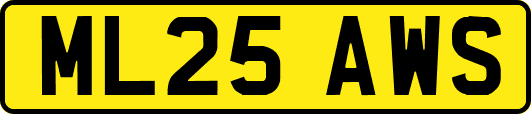 ML25AWS