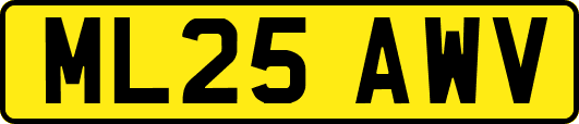 ML25AWV