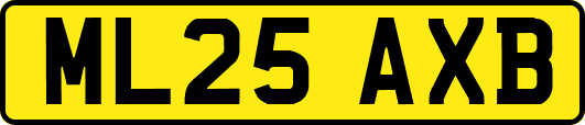 ML25AXB