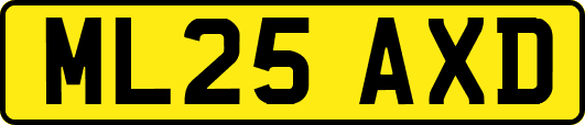 ML25AXD
