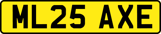 ML25AXE